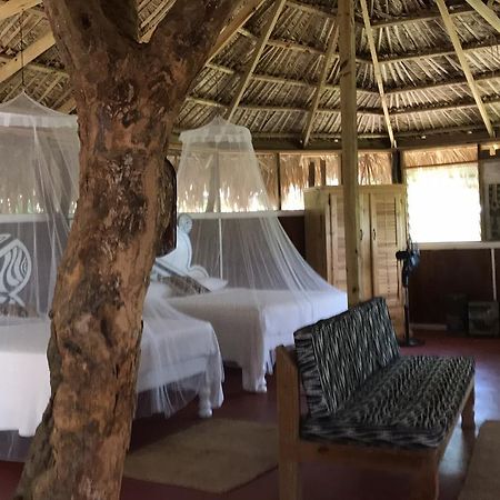 Moringa Ingadi Villa Treasure Beach Kültér fotó