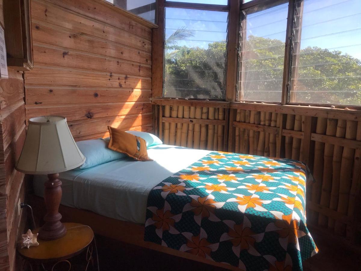 Moringa Ingadi Villa Treasure Beach Kültér fotó