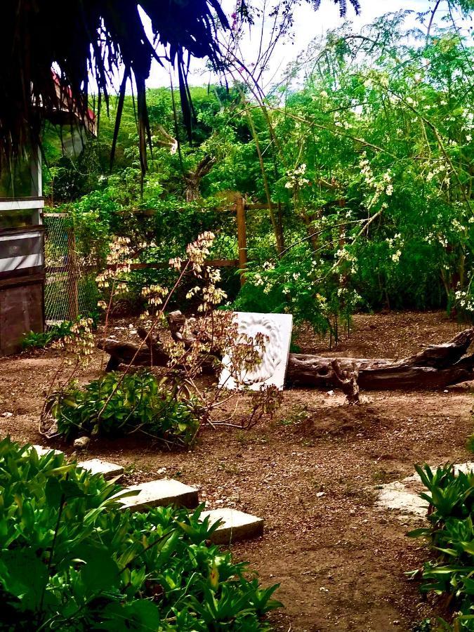 Moringa Ingadi Villa Treasure Beach Kültér fotó