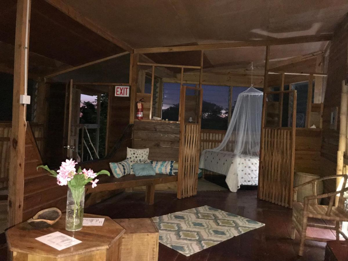 Moringa Ingadi Villa Treasure Beach Kültér fotó